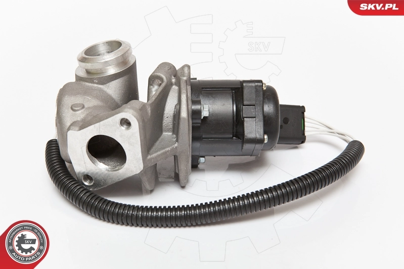 EGR Valve